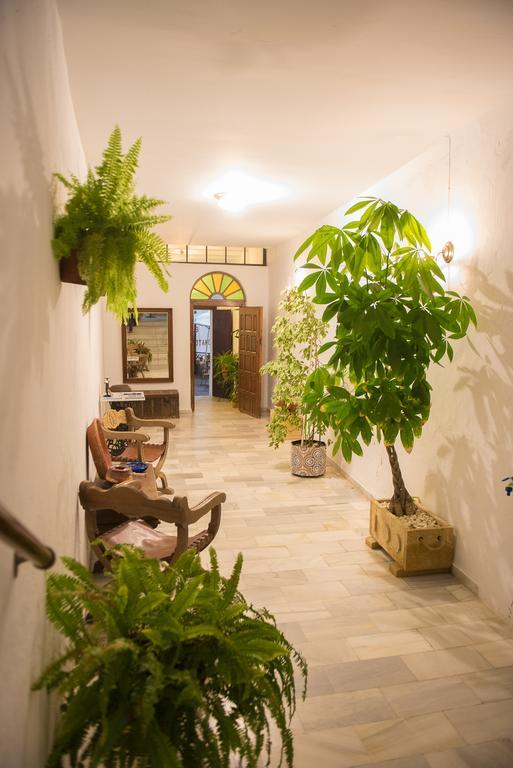 Апартаменти Casa El Atelier Вехер-де-ла-Фронтера Екстер'єр фото